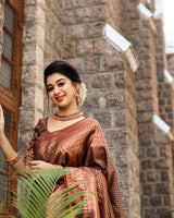 Dark Brown With Golden Patta Designer  Lichi silk Saree Weaving