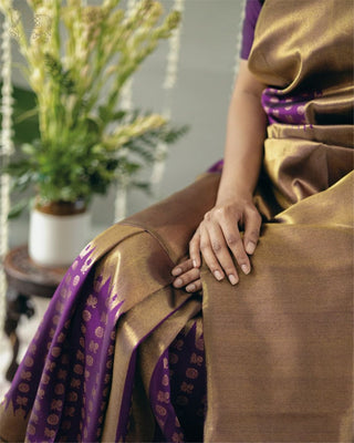 Fancifull Dark Beige Soft Silk Saree