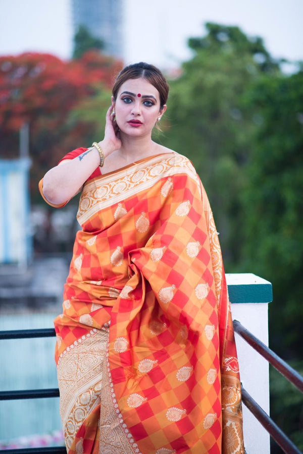 Banarasi Silk Weaving Saree With Fabulous Checks Weaes All Over Contrast Border And Exclusive Pallu